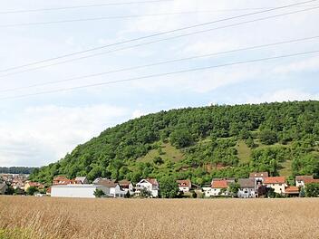 Der Ebelsberg wird durch Landschaftspflegemaßnahmen attraktiver für verschiedene Tier- und Pflanzenarten. Fotos: Andreas Lösch