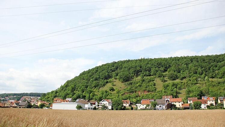 Der Ebelsberg wird durch Landschaftspflegemaßnahmen attraktiver für verschiedene Tier- und Pflanzenarten. Fotos: Andreas Lösch