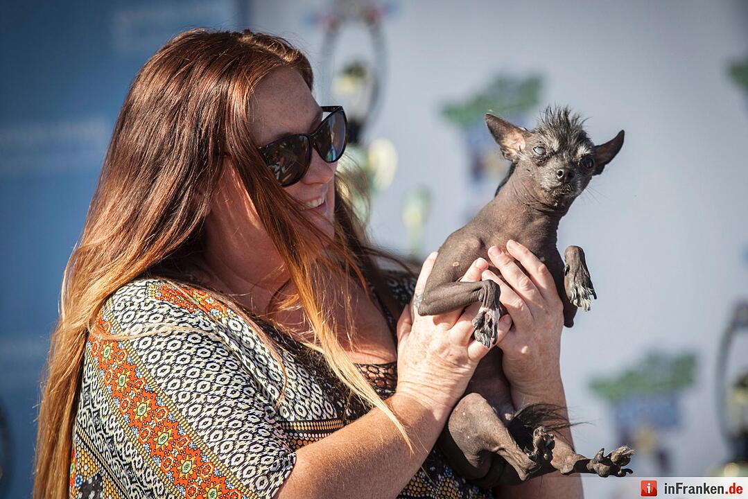2016 World's Ugliest Dog Contest in California
