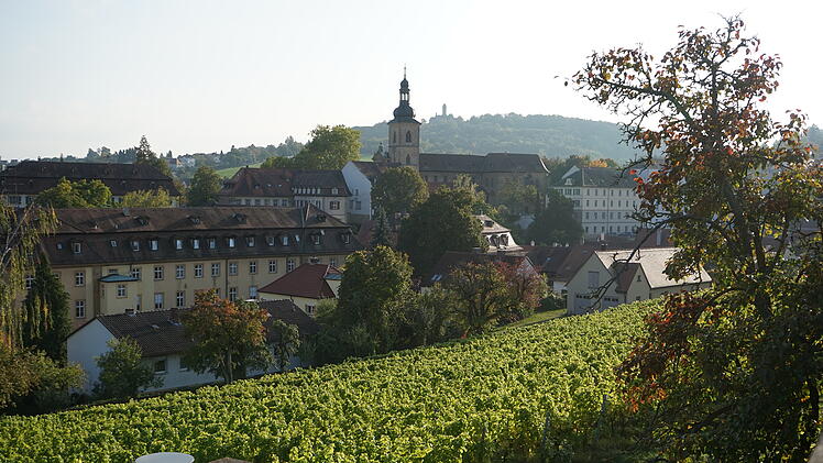 Eine malerische Stadtlandschaft mit Weinbergen im Vordergrund und historischen Gebäuden im Hintergrund. Perfekte Kulisse für das Bamberger Weinfest in der fränkischen Weltkulturerbestadt.