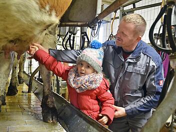 Landwirt Sebastian Schneider hat Kindergartenkinder zu Besuch auf seinem Bauernhof. Hier zeigt er Charlotte, wie man eine Zitze am Euter bearbeiten muss, damit Milch herauskommt. Fotos: Kathrin Kupka-Hahn