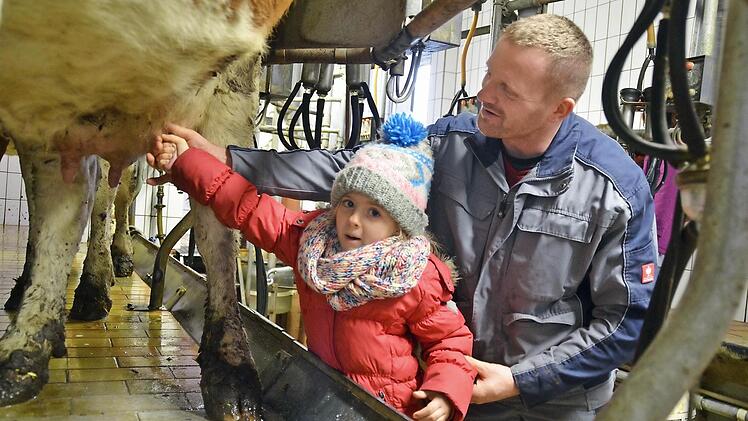 Landwirt Sebastian Schneider hat Kindergartenkinder zu Besuch auf seinem Bauernhof. Hier zeigt er Charlotte, wie man eine Zitze am Euter bearbeiten muss, damit Milch herauskommt. Fotos: Kathrin Kupka-Hahn