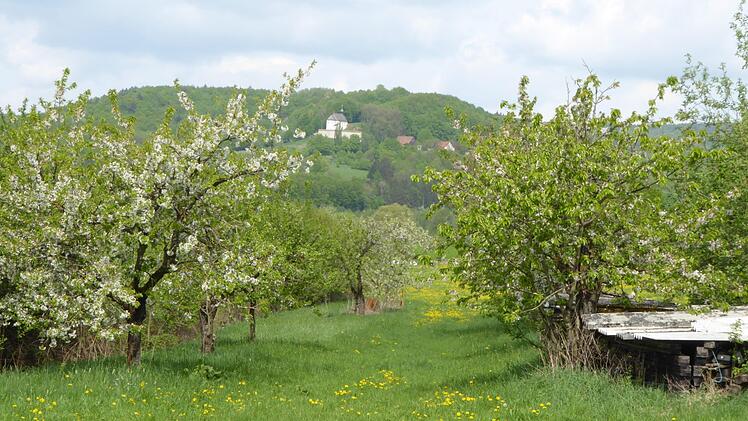Obstgarten bei Gunzendorf