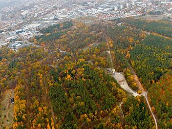 Wird hier ein 46 Hektar großer Gewerbepark entstehen? Der umstrittene Muna-Wald aus der Vogelperspektive.  Foto: Ronald Rinklef