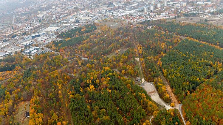 Wird hier ein 46 Hektar großer Gewerbepark entstehen? Der umstrittene Muna-Wald aus der Vogelperspektive.  Foto: Ronald Rinklef