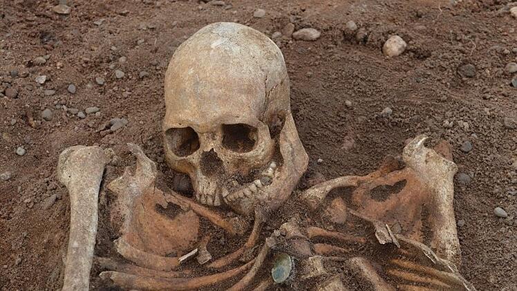 Segnitz: Archäologen stoßen auf Skelette - Ausgrabung bringt 38 Gräber zum Vorschein
