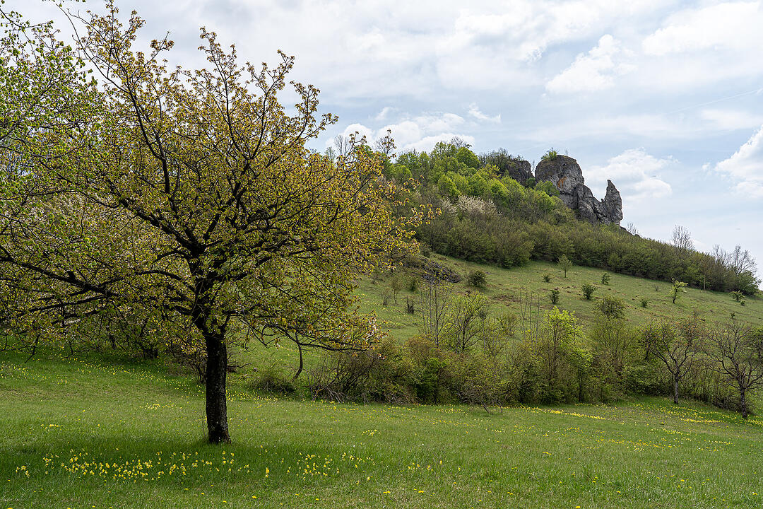 Der Berg der Franken