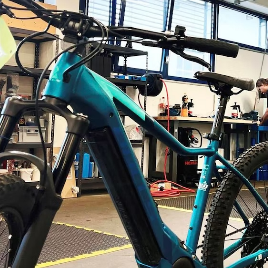 Refurbished EBikes auf dem Prfstand: Preise, Zustand, Garantie & Hndler  im Vergleich