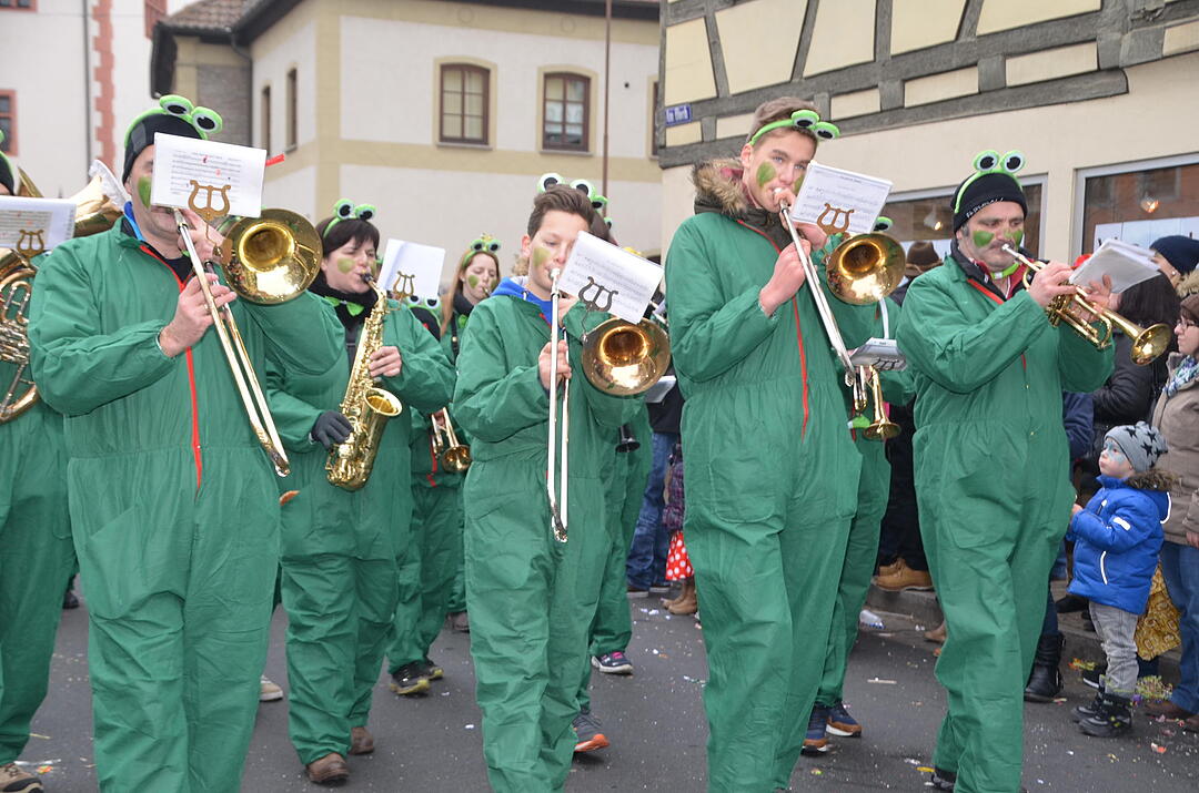 Landkreisfaschingszug 2015