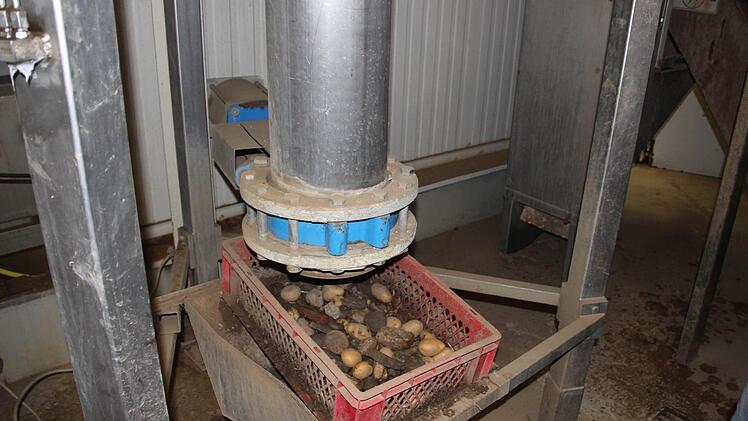 Dieser Apparat siebt Steine und kleine Kartoffeln aus dem Haufen.