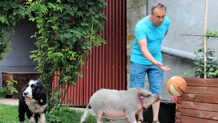 Während Eros nach hinten absichert, lenkt Mrs. Moneypenny den Ball gekonnt in Tor, respektive den Pflanzkasten. Fuchs