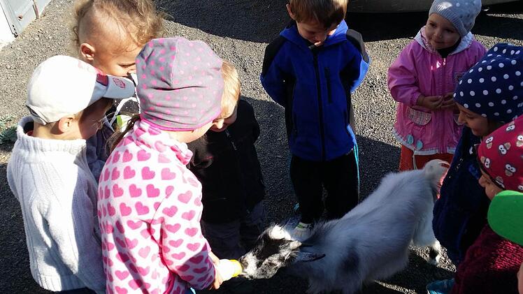 Lena Kandler füttert hier die Ziege Leopold mit der Flasche; von links außerdem Justin Hofmann, Lisa und Laura Kandler, Paul Goger, Anne Holzmann, Luis Wissendheit, Luca Reischel (etwas verdeckt), Loki Göpfert und Kilian Kirchner.  Foto: Günther Geiling