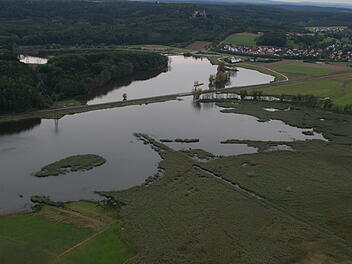 Coburg: Seltenes Tier am Goldbergsee entdeckt - in Europa fast ausgestorben