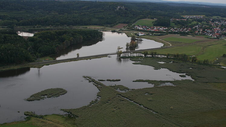 Coburg: Seltenes Tier am Goldbergsee entdeckt - in Europa fast ausgestorben