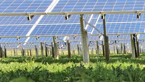 Die Anlage ist ein Paradies für die Kleintiere. Foto: Josef Hofbauer