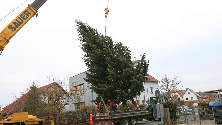 Foto: Josef Hofbauer