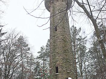 Ortsobmann Georg Barnickel (rechts vom Baum) mit einigen Wanderfreunden, denen er schon mal den geschm&uuml;ckten Christbaum am Lucas-Cranach-Turm pr&auml;sentierte. Auch die Kinder hatten ihren Spa&szlig;.