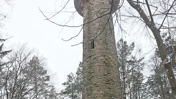 Ortsobmann Georg Barnickel (rechts vom Baum) mit einigen Wanderfreunden, denen er schon mal den geschm&uuml;ckten Christbaum am Lucas-Cranach-Turm pr&auml;sentierte. Auch die Kinder hatten ihren Spa&szlig;.
