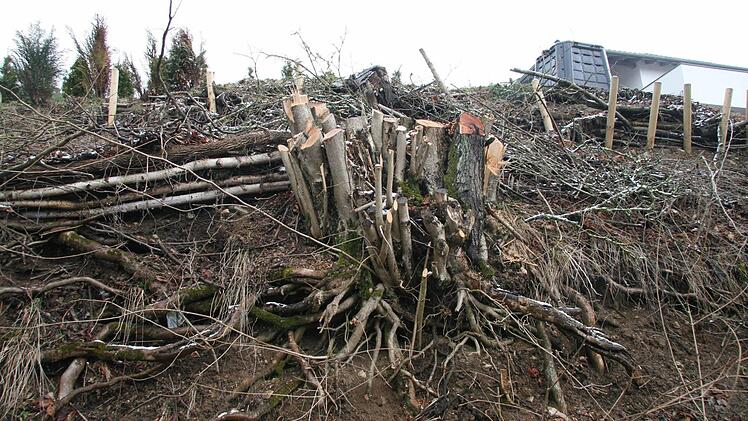 Zurück blieben mehrere Stümpfe.