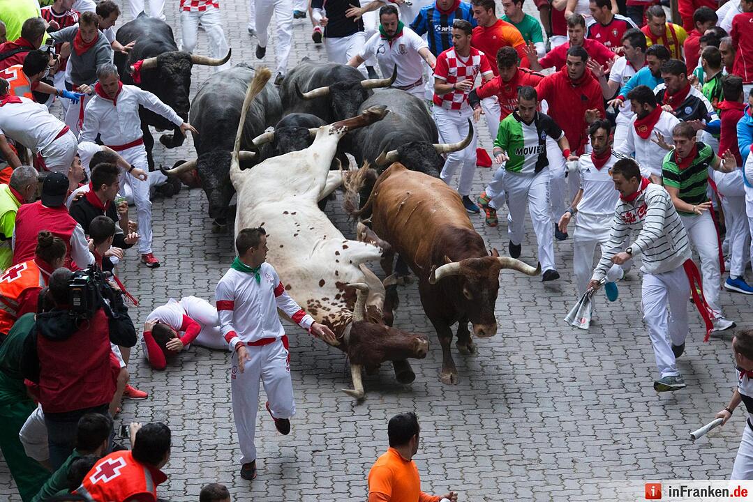 Stierhatz in Pamplona
