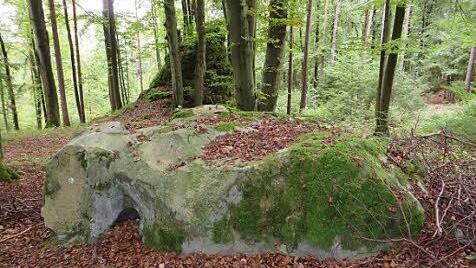 Der Götzenstein. Hier in den Vertiefungen wurden angeblich Opfergaben dargebracht.