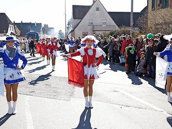 Auch die Mädchengarde Zapfendorf war im Festzug dabei.