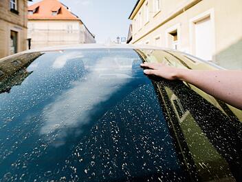 Schon wenige Minuten reichen und die Windschutzscheide ist wieder übersät mit gelbem Blütenstaub. Vor der Fahrt sollte er aber nicht einfach mit dem Scheibenwischer entfernt werden. Foto: Marian Hamacher