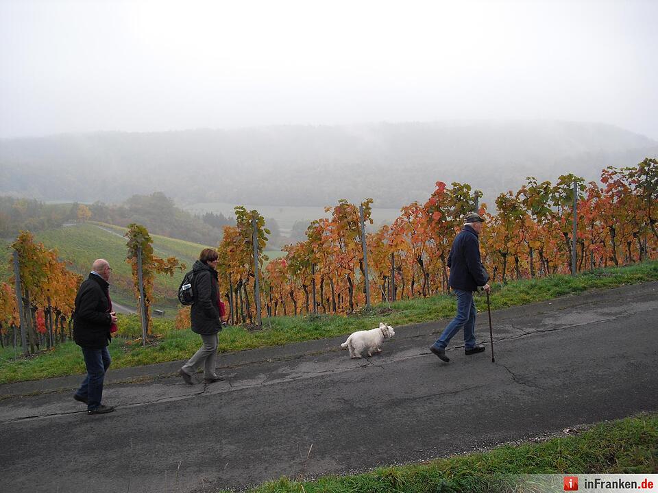 ABO Plus Bus-Wander-Tour Handthal_21.10.15