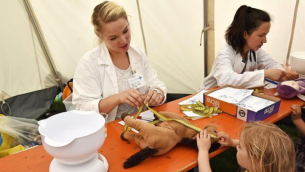 Dr. ted. Helena (l.) vermisst und wiegt Pl&uuml;schpferd Pedro.  Foto: Uniklinikum Erlangen