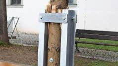 Jetzt hält der Baum ...