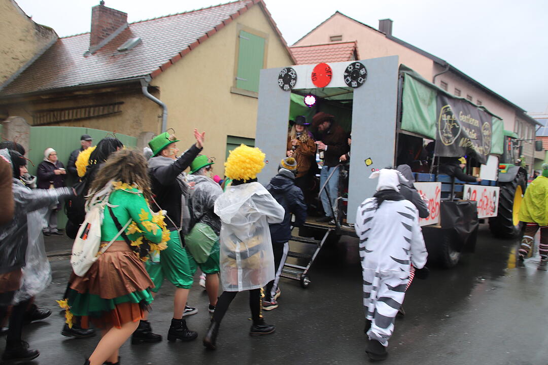 Kreisfaschingsumzug 2020