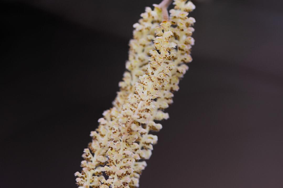 Mildes Wetter in K&ouml;ln