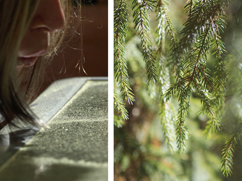 Naturphänomen in Bayern: Warum verfärbt sich der Freistaat gelb? Naturphänomen in Bayern: Warum verfärbt sich der Freistaat gelb?