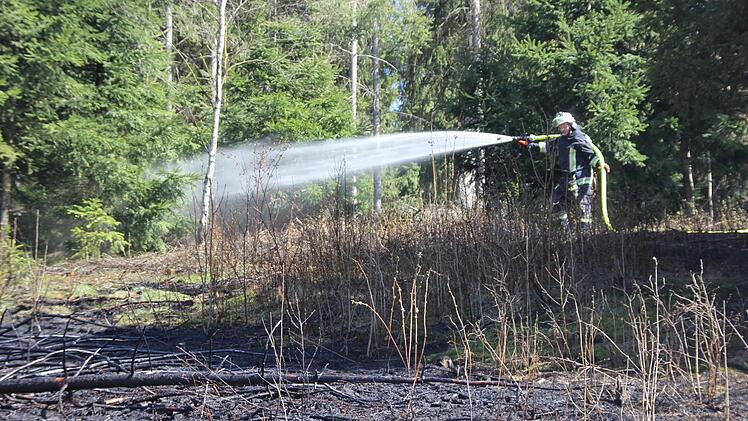 Die Wehrleute bekämpften den Brand.  Foto: Friedwald Schedel