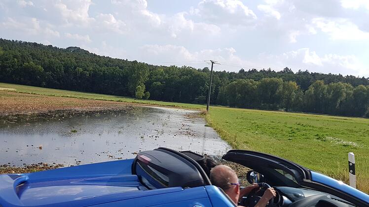 Ungläubige Seitenblicke provozieren die trotz Trockenheit bewässerten Wiesen bei Gosberg. Fotos: Ekkehard Roepert