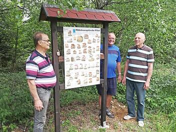 Die Vorstände des Ölschnitztaler Wandervereins haben eine Infotafel über Waldpilze gebaut und dieser Tage im Wald am Naturlehrpfad "Pabstrangen" aufgestellt. Von links Hans Heinlein (Erster Vorsitzender), Ingbert Weigelt (Zweiter Vorsitzender) und Theobald Heinlein (Hauptkassier).  Foto: K.- H. Hofmann