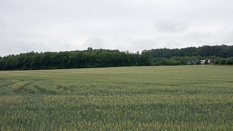 Etwa die Hälfte des Grundstücks an der Autobahn A 70 (im Hintergrund im Bild), auf dem die Solarkraft Horhausen GmbH eine Photovoltaikanlage errichten möchte, liegt im Überschwemmungsgebiet des Mains und darf nicht bebaut werden.Ulrike Langer