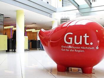 Dieses Sparschwein in der Höchstadter Schalterhalle hat wohl bald ausgedient.  Foto: Andreas Dorsch