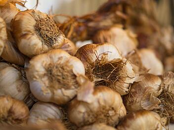 Knoblauch wird noch im August geerntet und in dekorativen Zöpfen zusammengefasst. Symbolbild: pexels.com