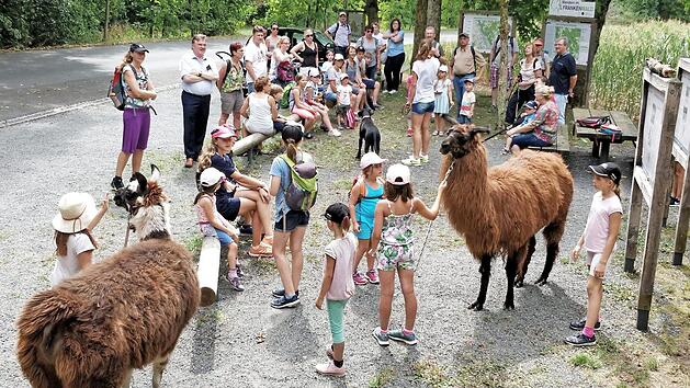 Die bunte Wandergruppe mit den Lamas von Tanja Sünkel an der Wandertafel bei der Schneidmühle Foto: Klaus-Peter Wulf