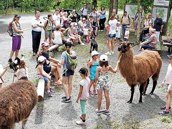 Die bunte Wandergruppe mit den Lamas von Tanja Sünkel an der Wandertafel bei der Schneidmühle Foto: Klaus-Peter Wulf