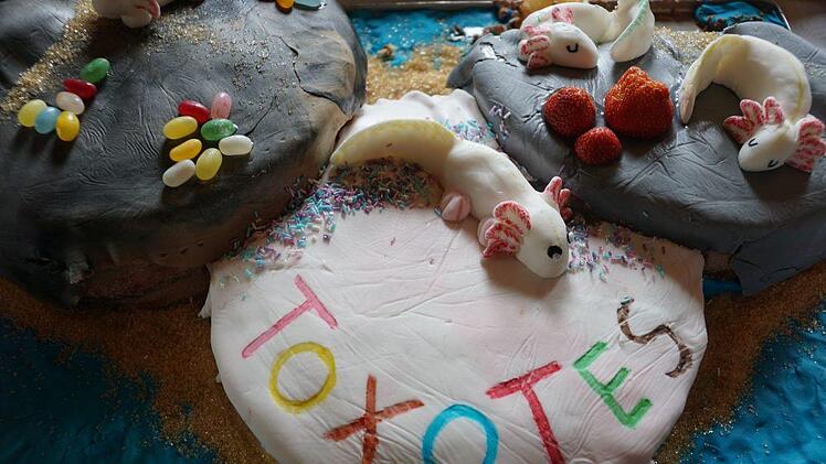 Beim Tag der offenen Tür im Rahmen des Bürgerfestes in Buckenhof am 7. Juli gab es eine Molch-Torte.   Foto: Pascale Ferry