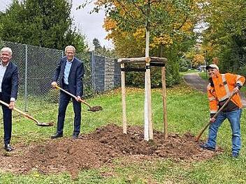 Michael Bläser und German Hacker (v. l.) pflanzten mit Hilfe eines städtischen Mitarbeiters zwei Winterlinden. Foto: privat