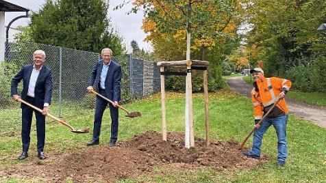 Michael Bläser und German Hacker (v. l.) pflanzten mit Hilfe eines städtischen Mitarbeiters zwei Winterlinden. Foto: privat