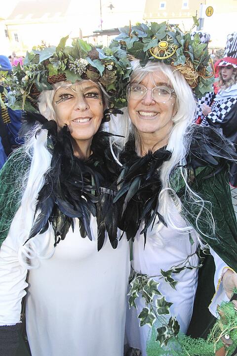 Fasching 2025 in Stadtsteinach!