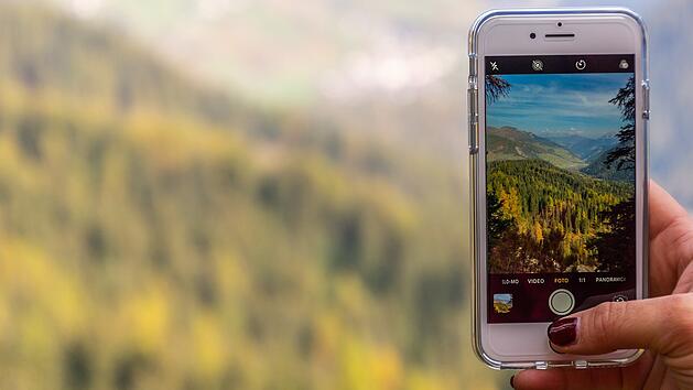 Pflanzen-Apps boomen.