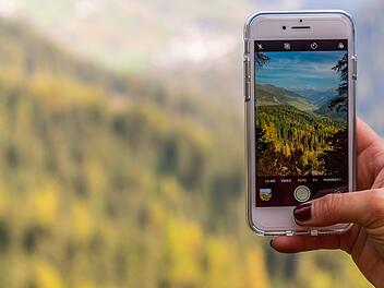 Pflanzen-Apps boomen.