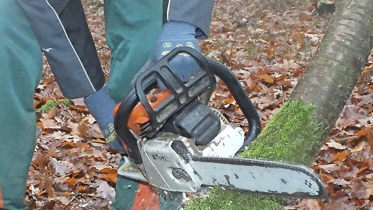 Die Forstbetriebsgemeinschaft vermarktet für ihre Mitglieder durchschnittlich jährlich zwischen 40 000 und 52 000 Festmeter Holz der verschiedensten Baumarten . Foto: Archiv/Björn Hein