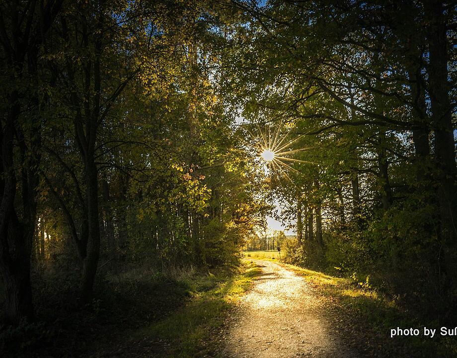 Die schönsten Fotos im November aus Forchheim und Umgebung