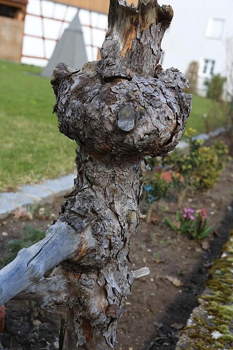 SoS ?sdorf im Lkr. Forchheim